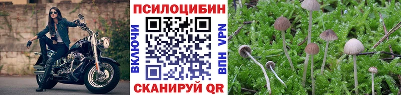 Галлюциногенные грибы GOLDEN TEACHER  наркота  Люберцы 